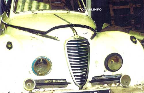 Roos-alfa-sg-62-23-1